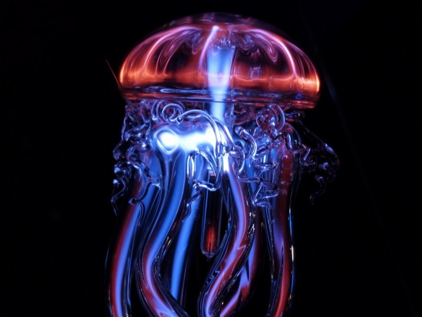 jellyfish glass light artificial tentacles glowing Transparent background PNG gallery
