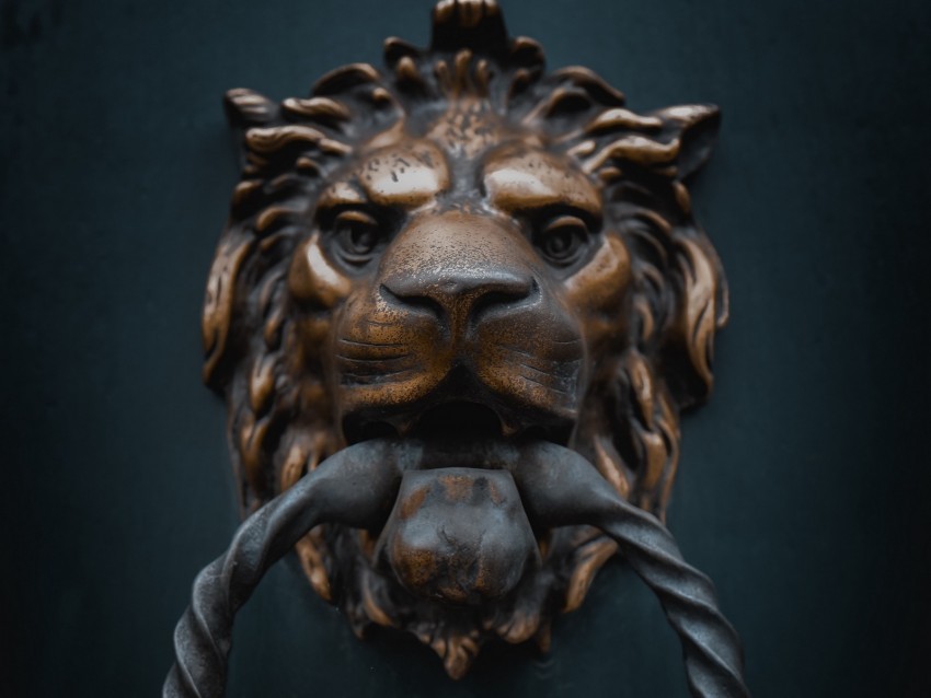 knoker door lion iron metal PNG images with transparent canvas assortment 4k wallpaper