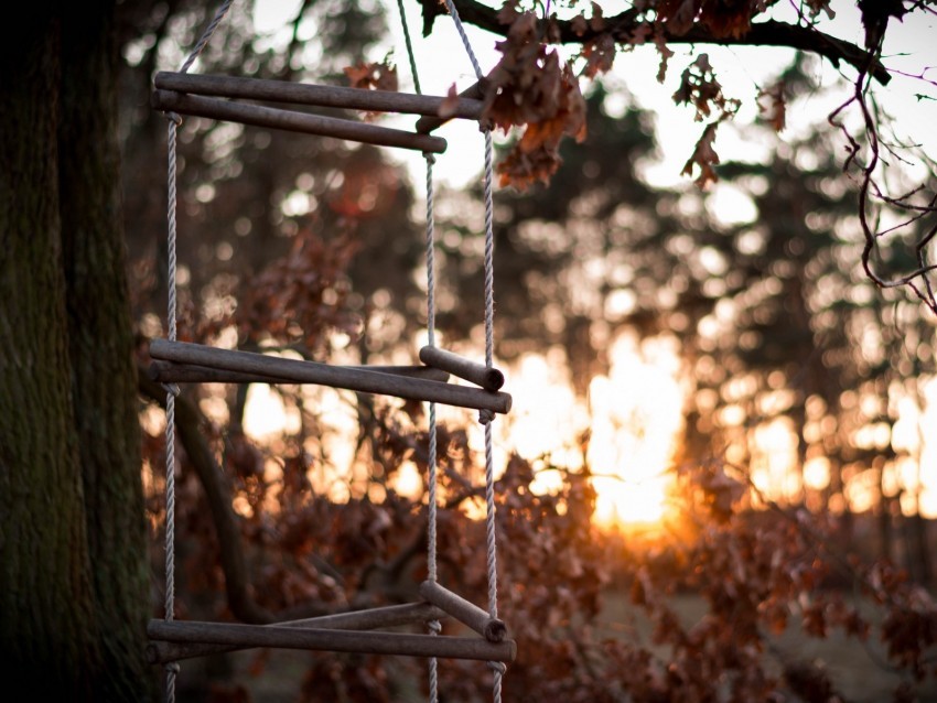 ladder rope tree sunset autumn PNG transparent icons for web design