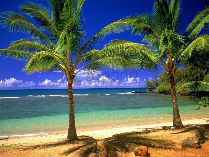 lagoon tropical wallpaper PNG for web design