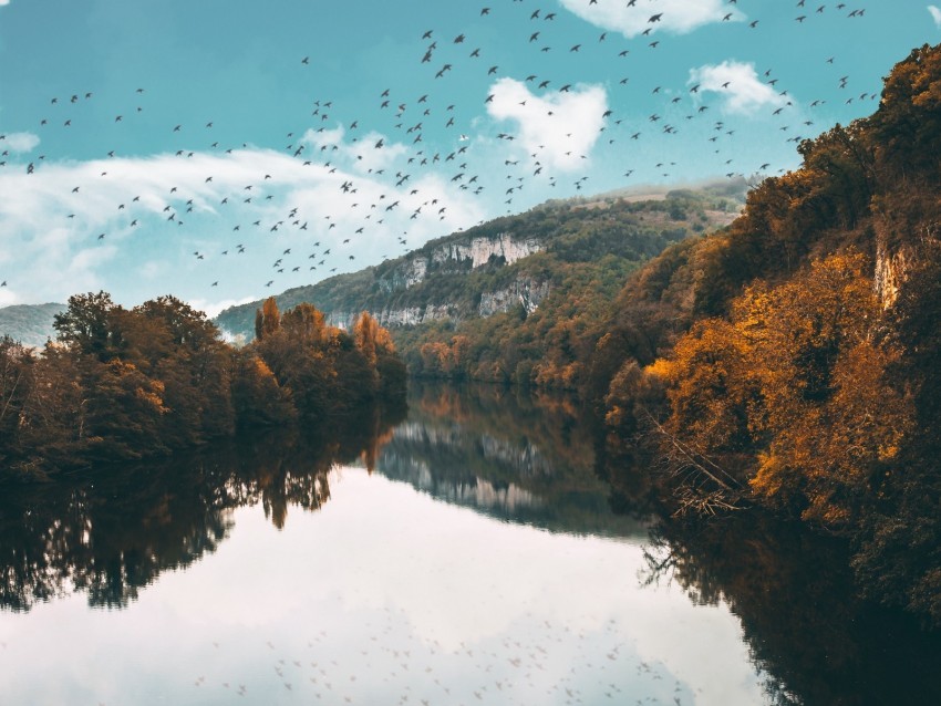 lake birds trees flight reflection autumn Free PNG images with transparent background
