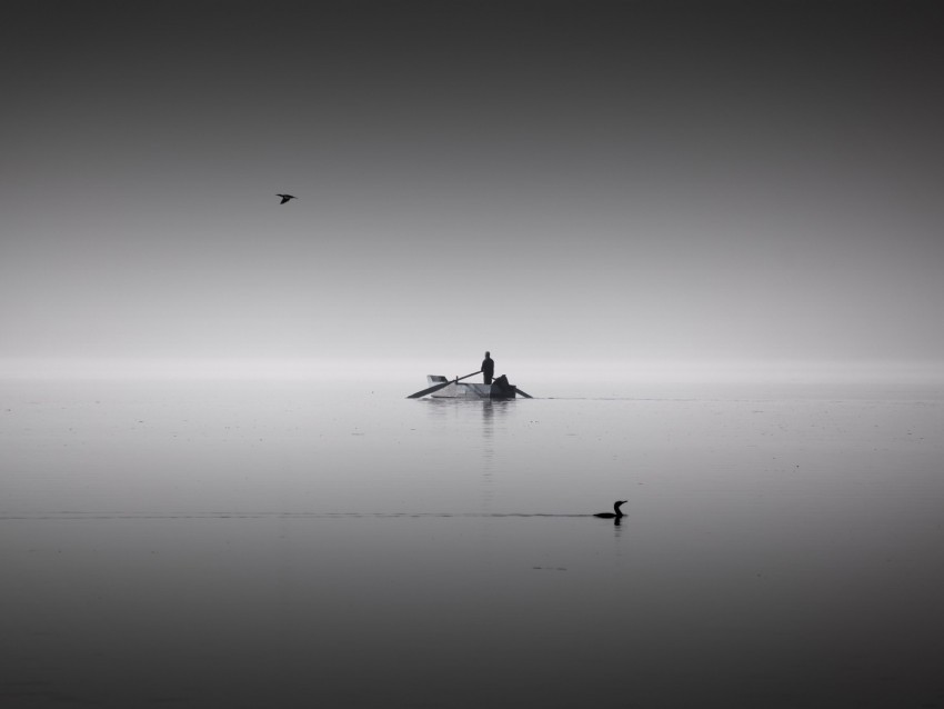 lake boat calm horizon silence man birds bw HighResolution PNG Isolated Artwork