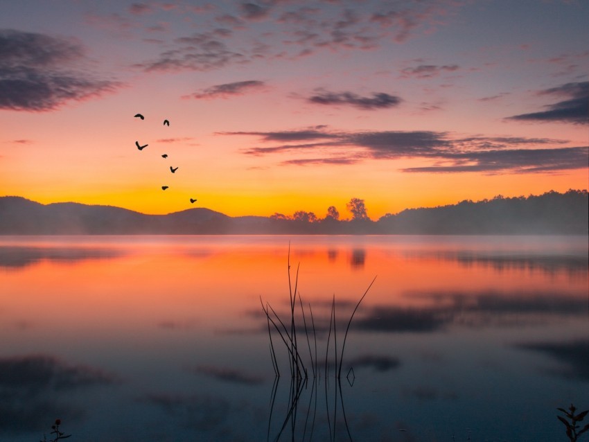 lake fog sunset twilight landscape PNG transparent images for social media