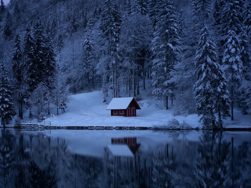 lake forest snow winter trees PNG with no registration needed