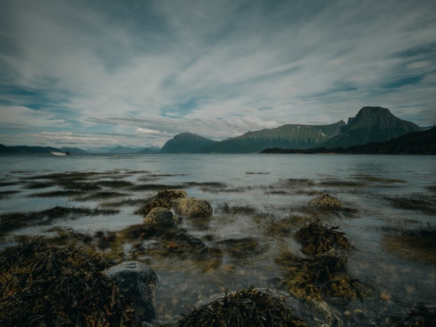 lake mountains shore stones seaweed Isolated Item in HighQuality Transparent PNG