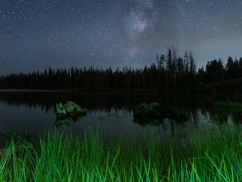lake night starry sky grass trees PNG with no bg