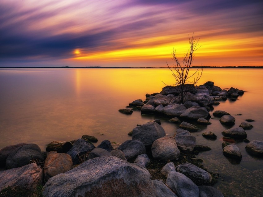 lake stones sunset water reflection tree Isolated Artwork on Transparent Background