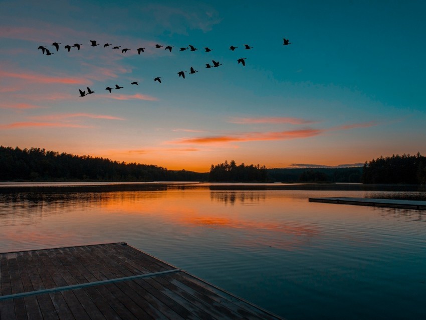 lake sunset birds flight horizon Transparent Background PNG Isolated Design