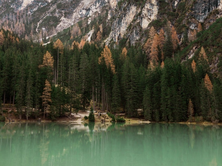 lake trees mountain landscape HighResolution Transparent PNG Isolation