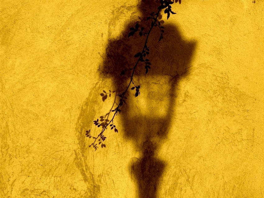 lantern shadow wall branch yellow Isolated Element on HighQuality Transparent PNG
