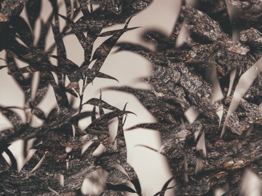 leaves branches outlines double exposure macro Free PNG images with transparent layers compilation