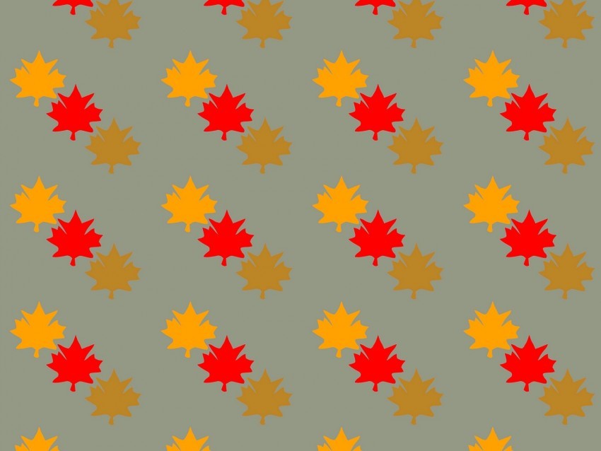 leaves maple autumn patterns texture Transparent picture PNG 4k wallpaper