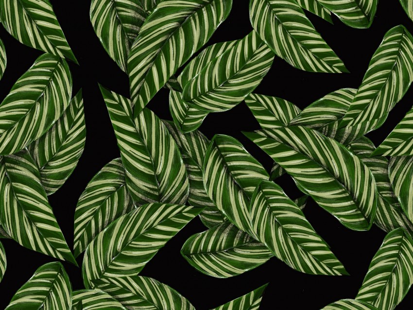 leaves patterns texture green black PNG transparent design bundle