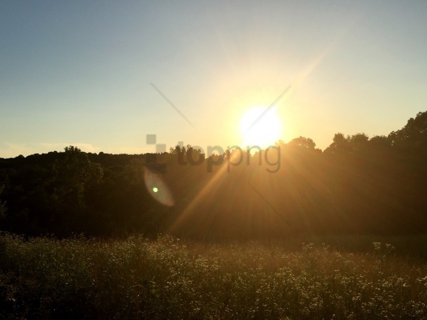 lens flare sun PNG Isolated Subject on Transparent Background