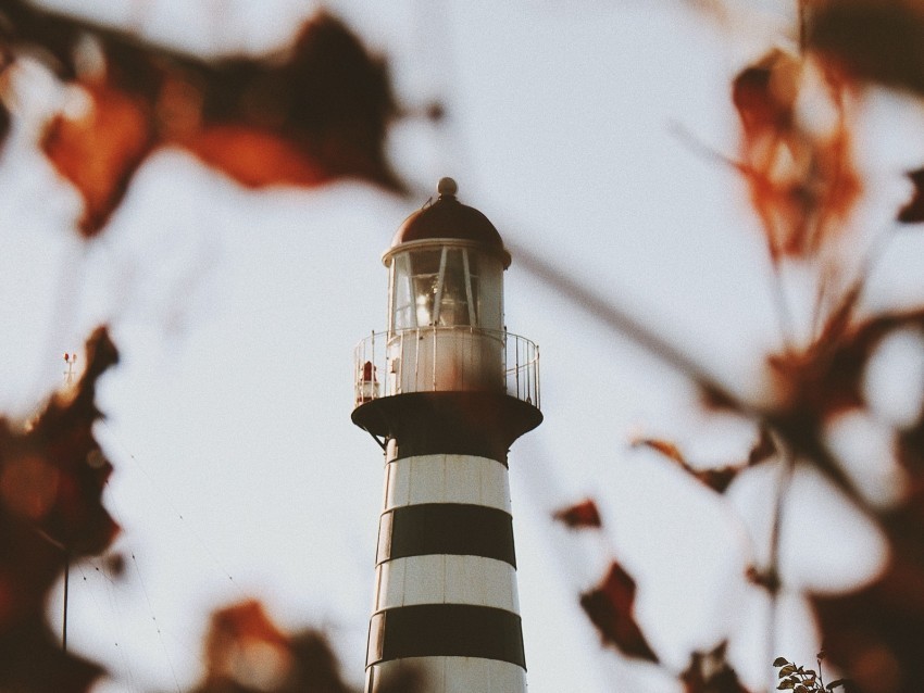 lighthouse building architecture bushes leaves Isolated Item on HighResolution Transparent PNG