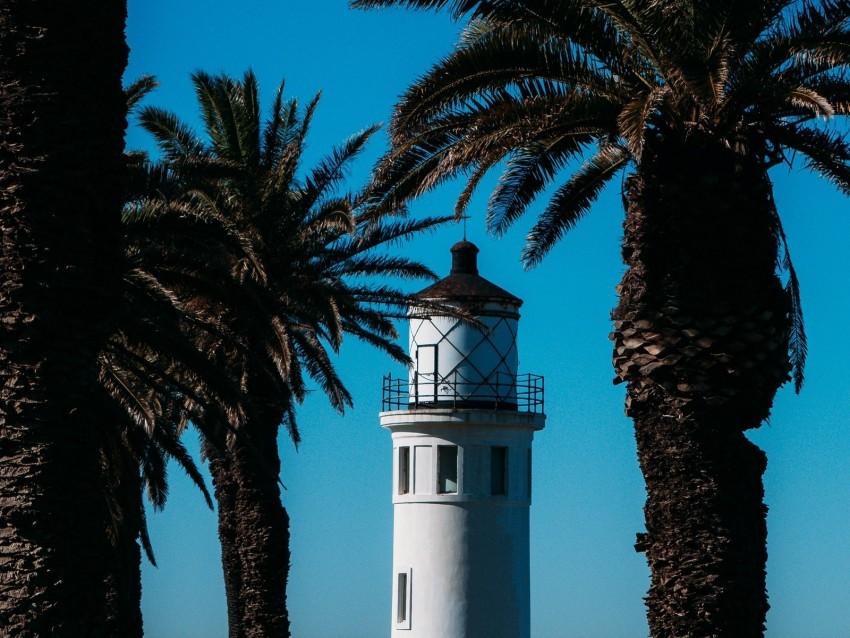 lighthouse palm trees sea building architecture coast Isolated PNG Item in HighResolution