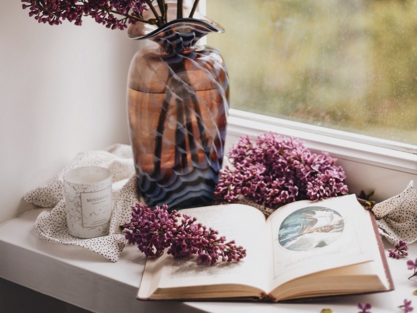 lilac book vase comfort window PNG with clear background set