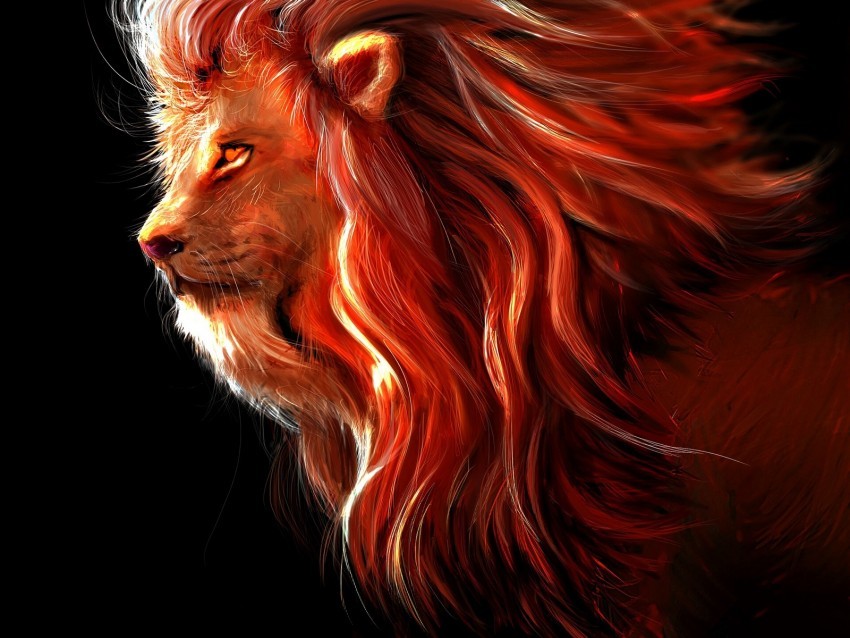 lion big cat art predator king of beasts PNG images for advertising