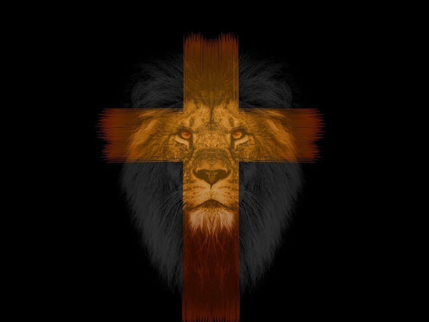 lion cross muzzle dark Isolated Character in Transparent PNG