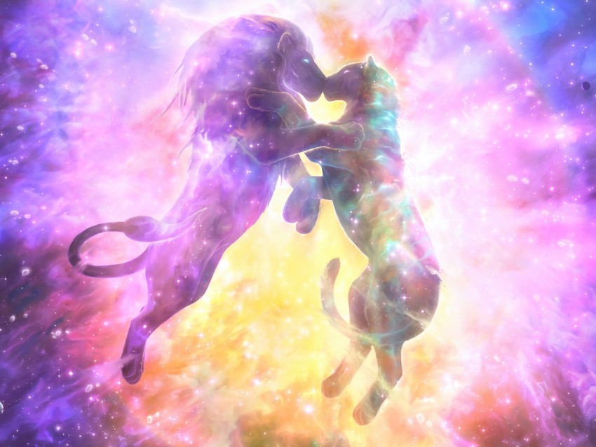 lion lioness kiss silhouettes space starry sky PNG Graphic with Isolated Design