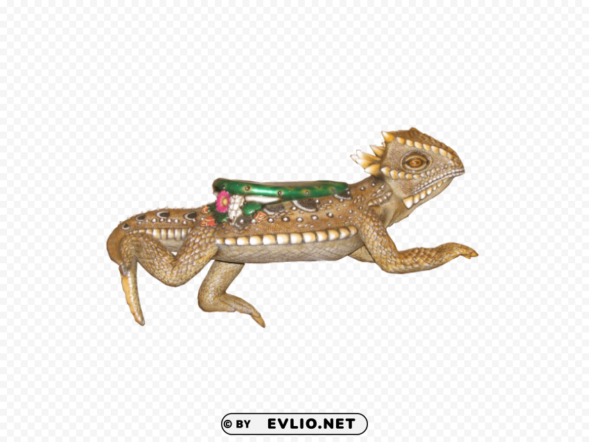 lizard PNG with Isolated Transparency