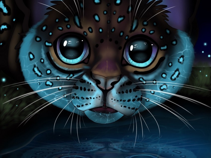 lynx glance art big cat reflection Clear PNG photos