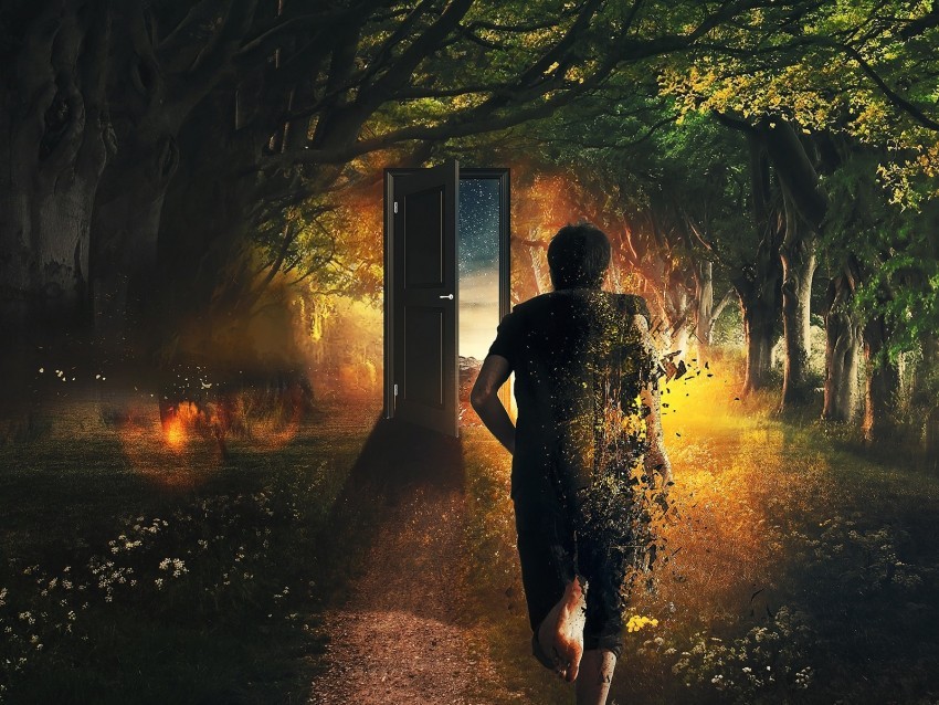 man door run time imagination forest art PNG Graphic Isolated with Clear Background 4k wallpaper