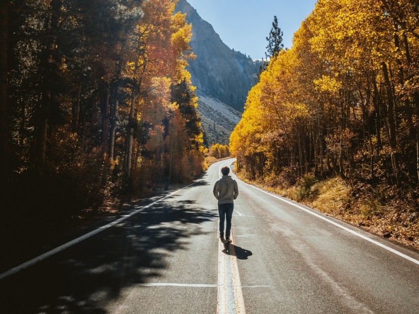 man road autumn walk loneliness sunlight Isolated Item on HighQuality PNG