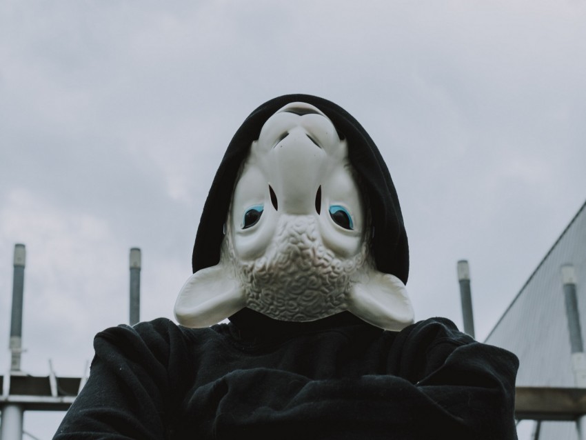 mask sheep hood hoodie black PNG without watermark free