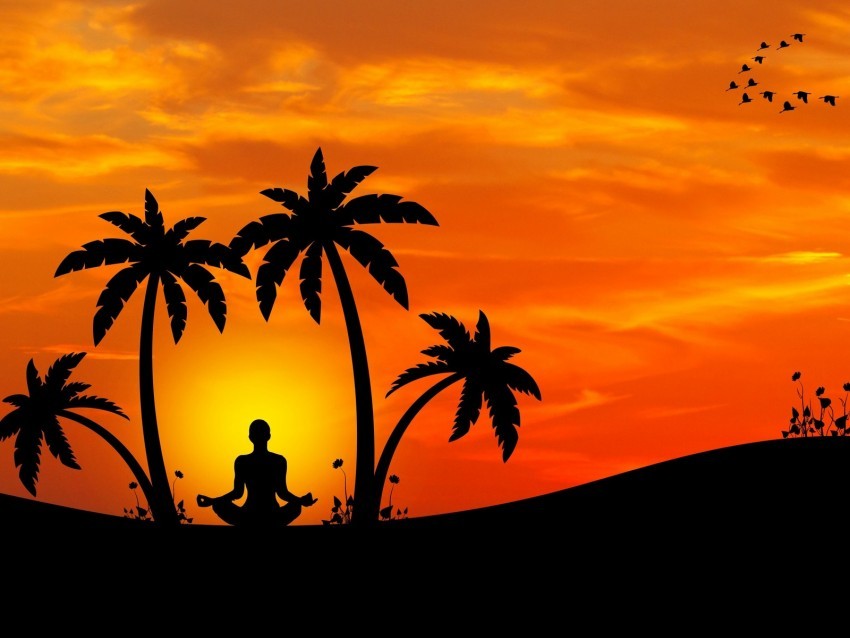 meditation yoga silhouette palm trees harmony Free PNG transparent images 4k wallpaper