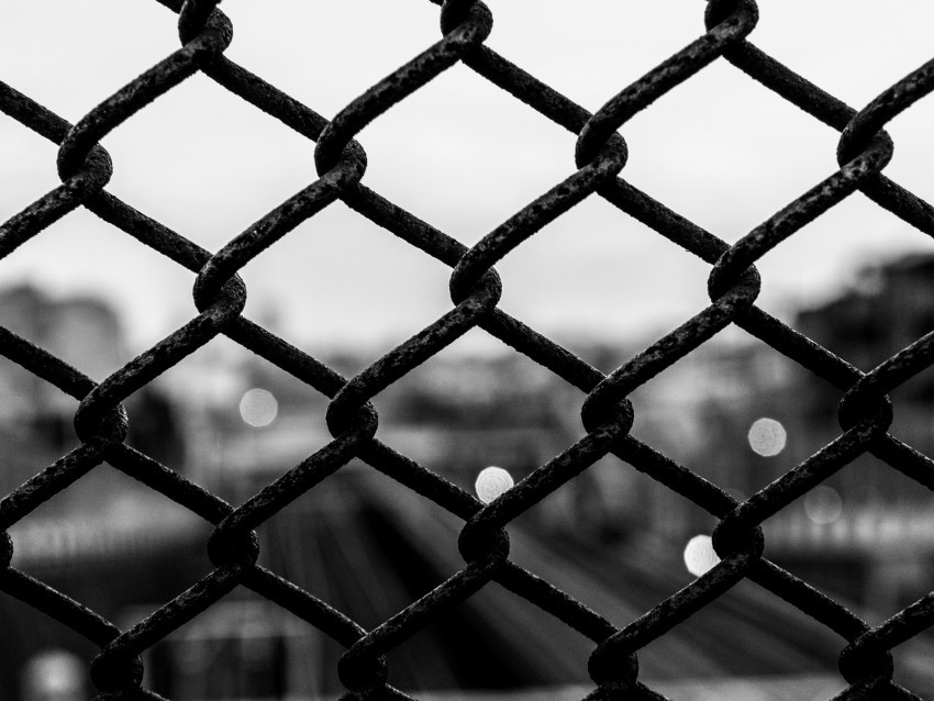 mesh cells bw metallic dark PNG images with no limitations