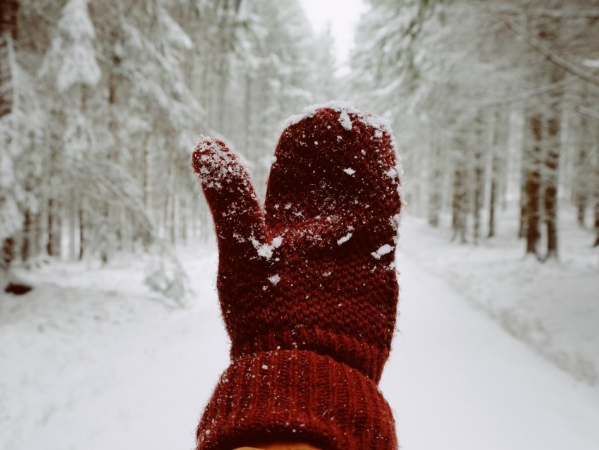 mitten hand snow winter Isolated Element with Clear Background PNG