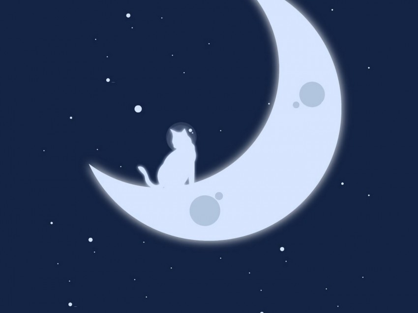 moon cats stars art minimalism PNG Image Isolated with Transparent Detail