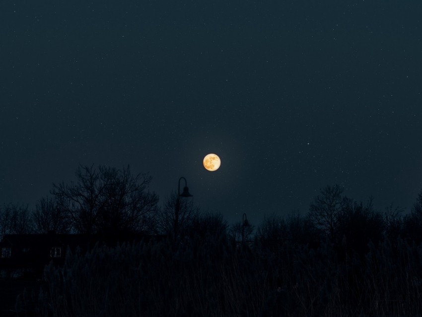 moon full moon starry sky night darkness silhouettes Transparent Background Isolated PNG Item