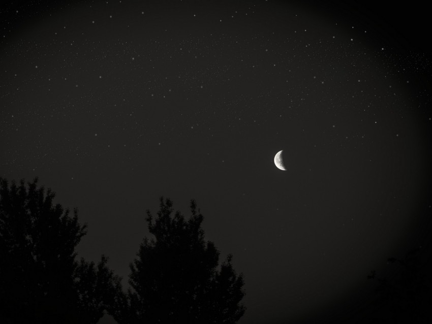 moon night sky tree stars dark Transparent pics 4k wallpaper