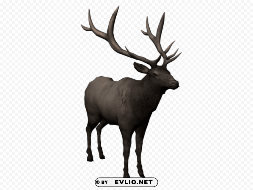 moose PNG transparent designs for projects
