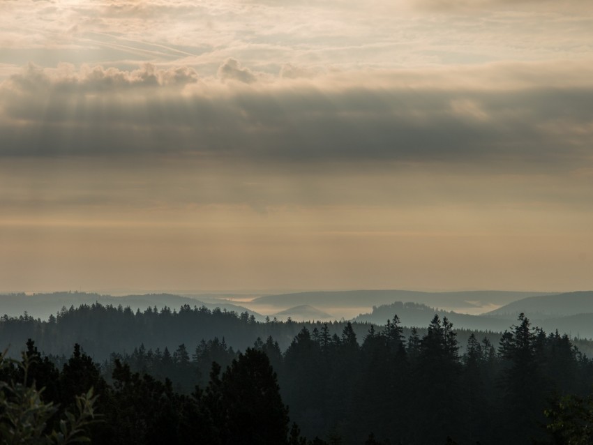 morning forest horizon distance schwarzwald Transparent PNG Isolated Element