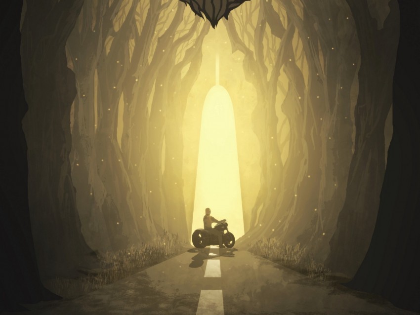 motorcyclist silhouette art forest fantastic wolf muzzle PNG Image with Transparent Cutout 4k wallpaper