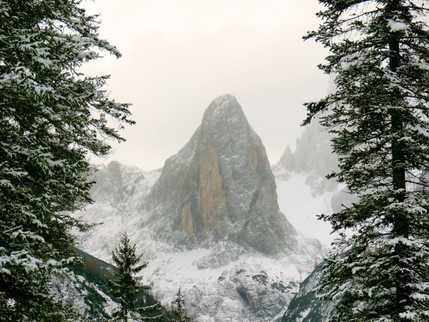 mountain snow branches hill Free transparent background PNG