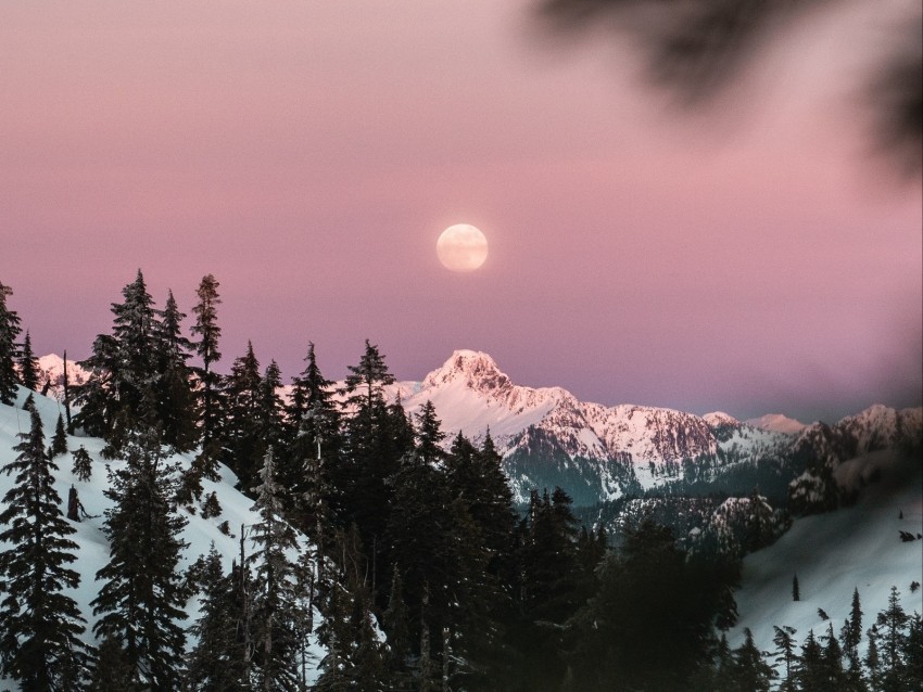 mountain snow sky branches moon Isolated Item on HighQuality PNG 4k wallpaper