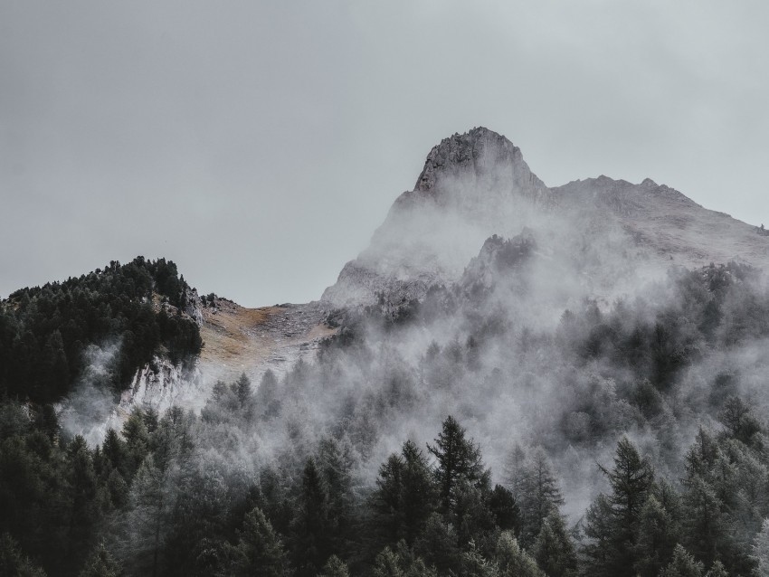 mountain trees fog aerial view sky peak Clear Background Isolated PNG Icon