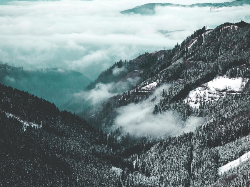 mountains aerial view fog trees snow Transparent Background PNG Isolated Pattern