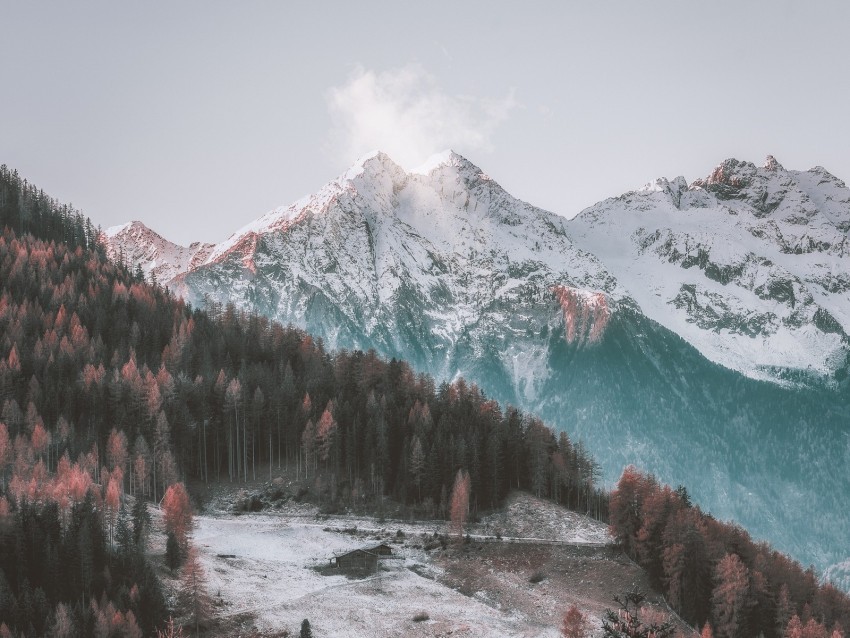 mountains aerial view forest trees autumn Transparent Background PNG Isolated Illustration