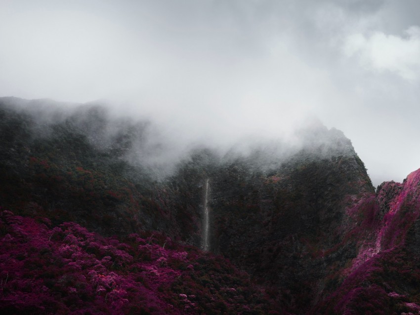 mountains fog clouds trees vegetation landscape Isolated Item on Transparent PNG