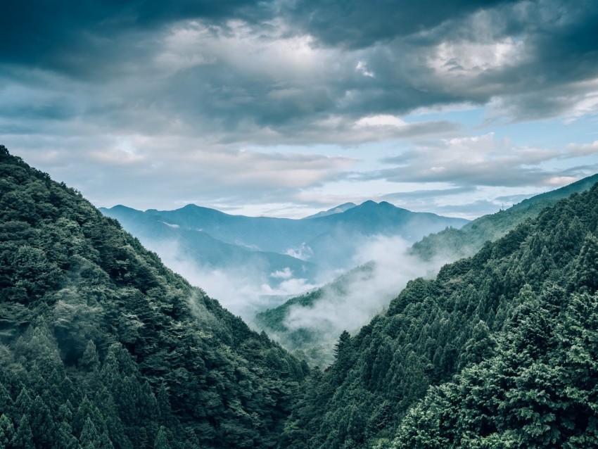 mountains fog trees aerial view landscape PNG files with transparent backdrop 4k wallpaper