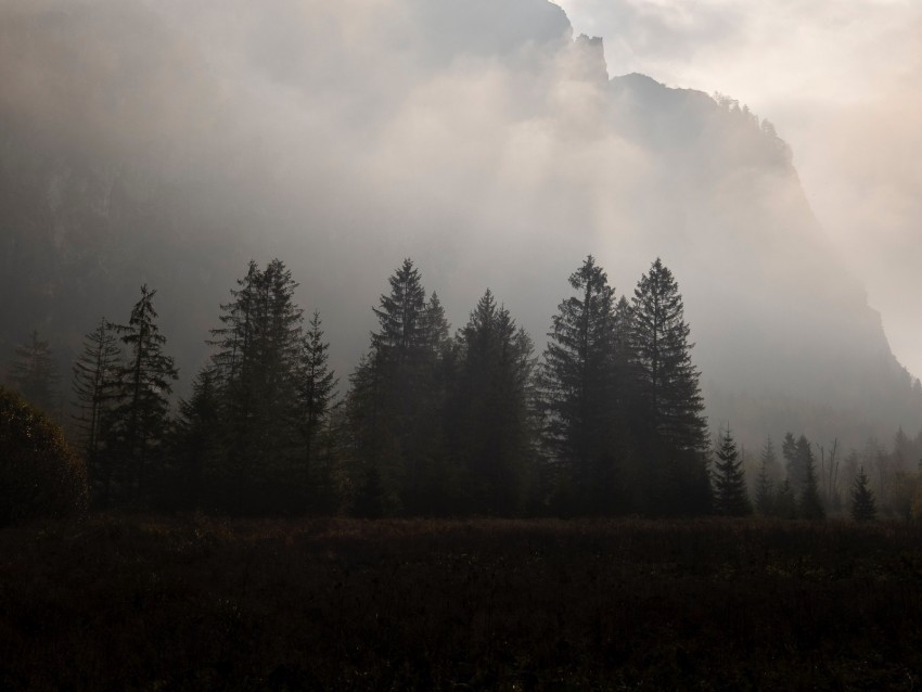 mountains fog trees sky dark PNG transparent images for websites