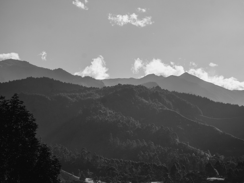 mountains forest bw fog landscape PNG images with clear backgrounds