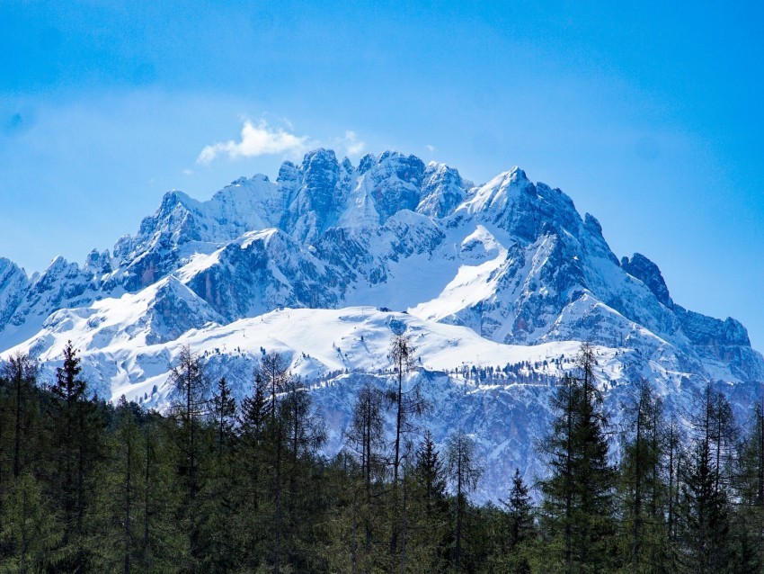 mountains forest landscape top snow trees PNG files with alpha channel