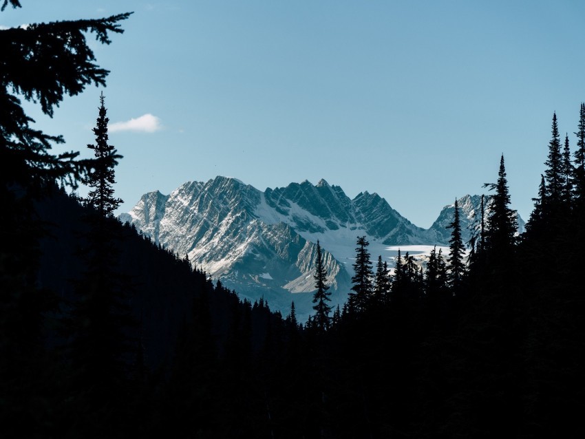 mountains forest shadow contrast dark PNG transparent stock images 4k wallpaper