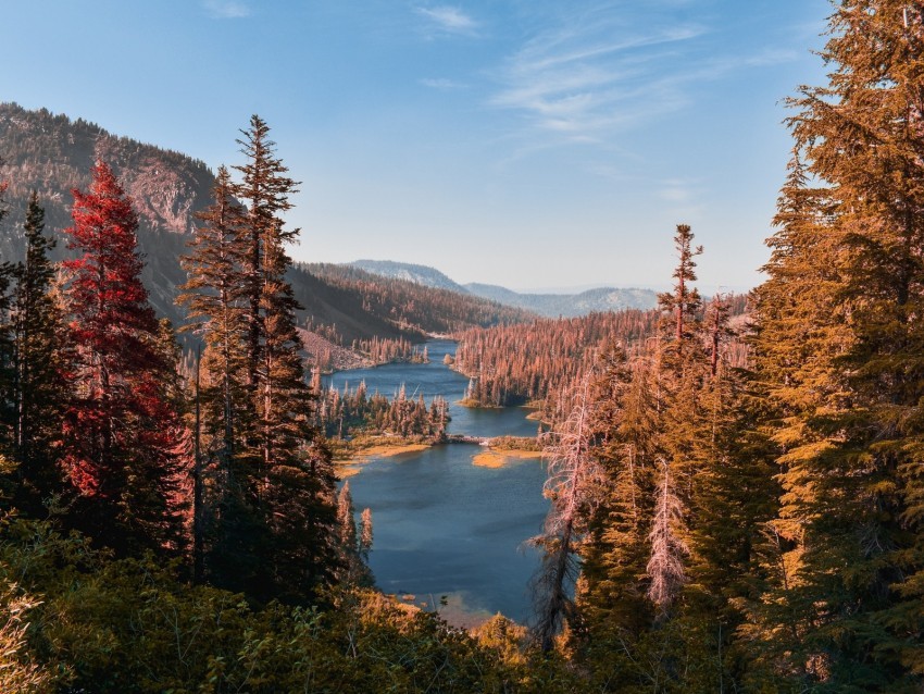 mountains lake landscape needles fir Isolated Element in Transparent PNG 4k wallpaper